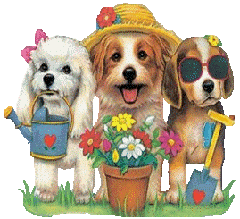 Gif animé bon week-end chiens